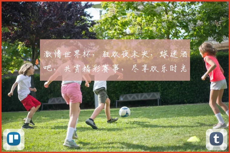激情世界杯，狂欢夜未央，球迷酒吧，共赏精彩赛事，尽享欢乐时光，一触即发