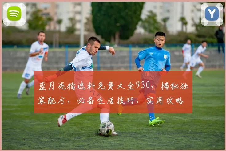 蓝月亮精选料免费大全930，揭秘独家配方，必备生活技巧，实用攻略一网打尽